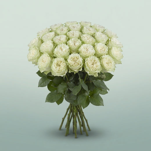 FeedSync:wholesale:98c9e76103b6c2d639ee90ec6e6f657bce9ca9c3