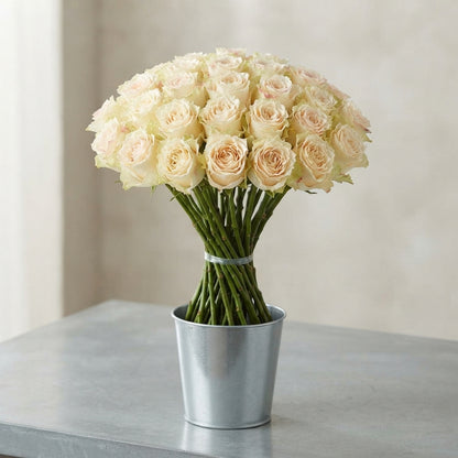 FeedSync:wholesale:70a54082c9eb3dfb7197f2a56e0647ae8a71157a