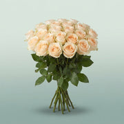 FeedSync:wholesale:2a9632d855398bff39c86628fd857e7304cfd1e2