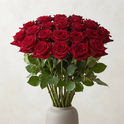 FeedSync:wholesale:ac8ca18074496582aaa0b690ffac31c985611992