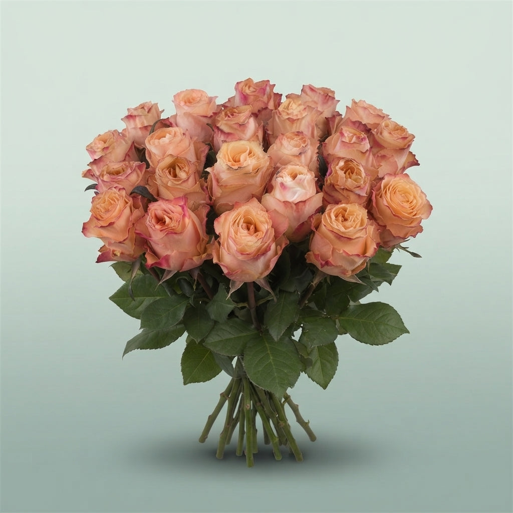 FeedSync:wholesale:9db2f99ff5596036c3dd9525aa486c40740653e9