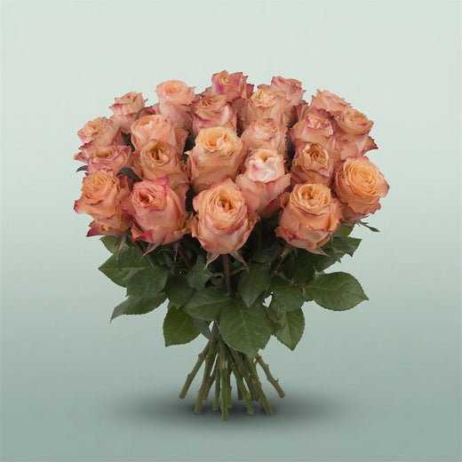FeedSync:wholesale:9db2f99ff5596036c3dd9525aa486c40740653e9