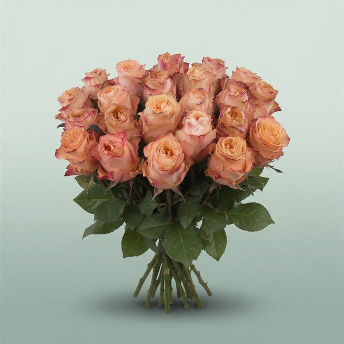 FeedSync:wholesale:9db2f99ff5596036c3dd9525aa486c40740653e9