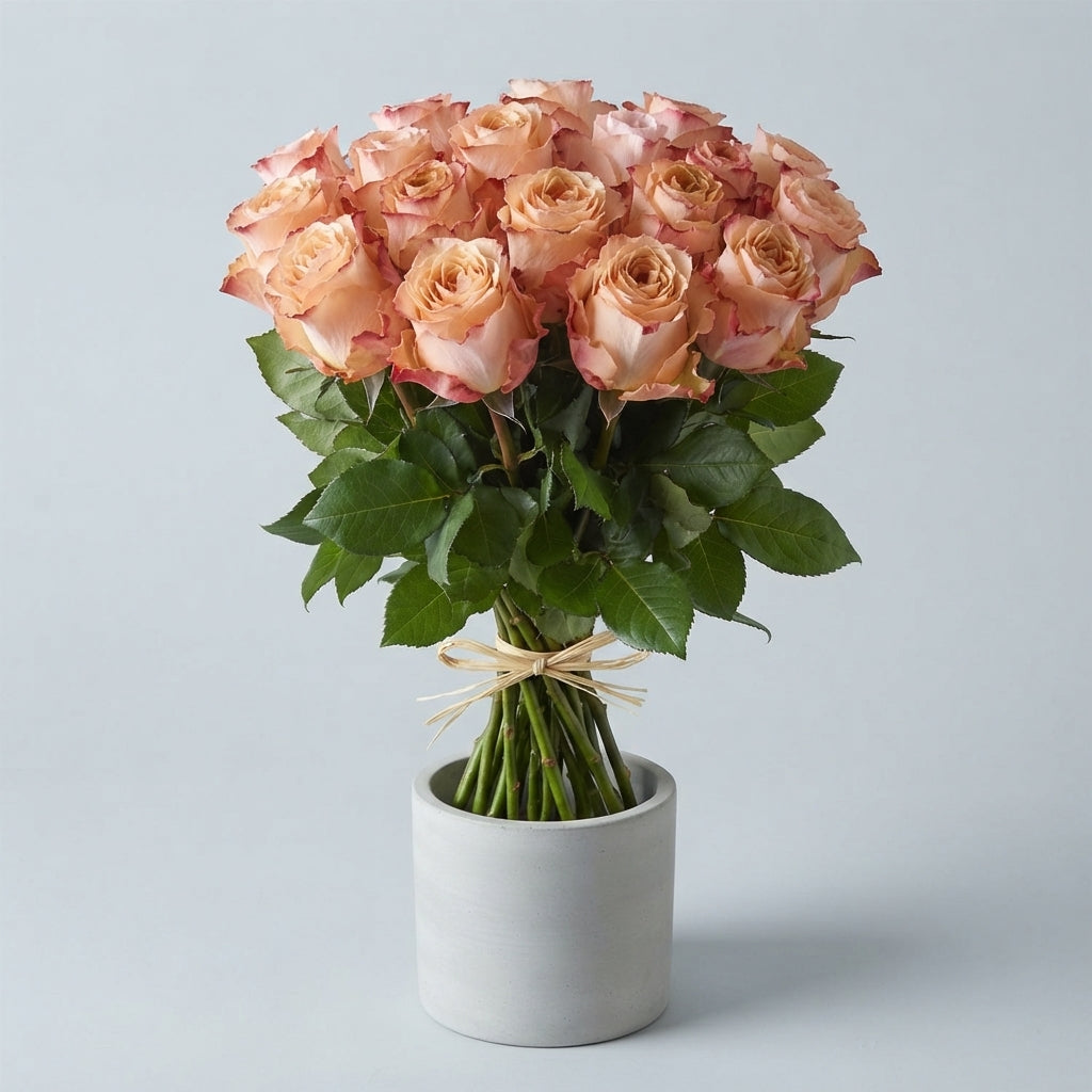 FeedSync:wholesale:b588877a775f9bcff3b33448e30c130486aa1f7a
