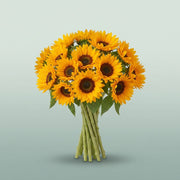 FeedSync:wholesale:84055fbfa78cbbf36b1be3ebd44af0b77328717e
