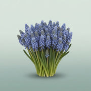 FeedSync:wholesale:ded84f6e1e8a95b51171375b47e7afd9b159df22