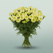 FeedSync:wholesale:212420938e07a4097789feeca9e2403b590ec43e