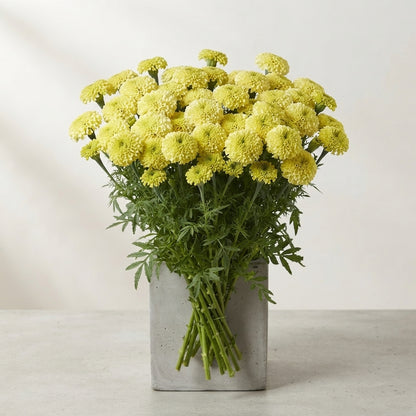 FeedSync:wholesale:17ab2059f4cf2208d61a35d5702d52b08bf7b370