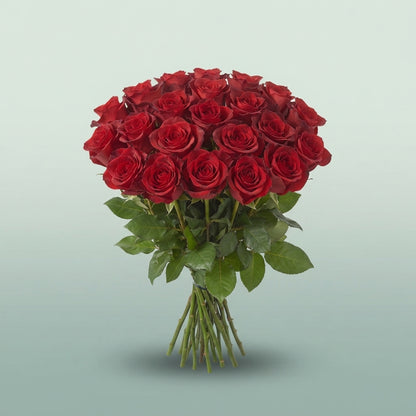 FeedSync:wholesale:1aa01008bbb5c622ce62153da24691a9a260031f