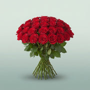 FeedSync:wholesale:99b4be14004b6b5e51f78d799fc78738f78fb57f