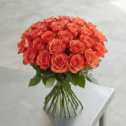 FeedSync:wholesale:156e4dfc6d7e53d2ceb2094d69e3fadfde7431dc