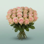 FeedSync:wholesale:d1663fd23cb5fbfdb9a31aba45de9370dd4ed303