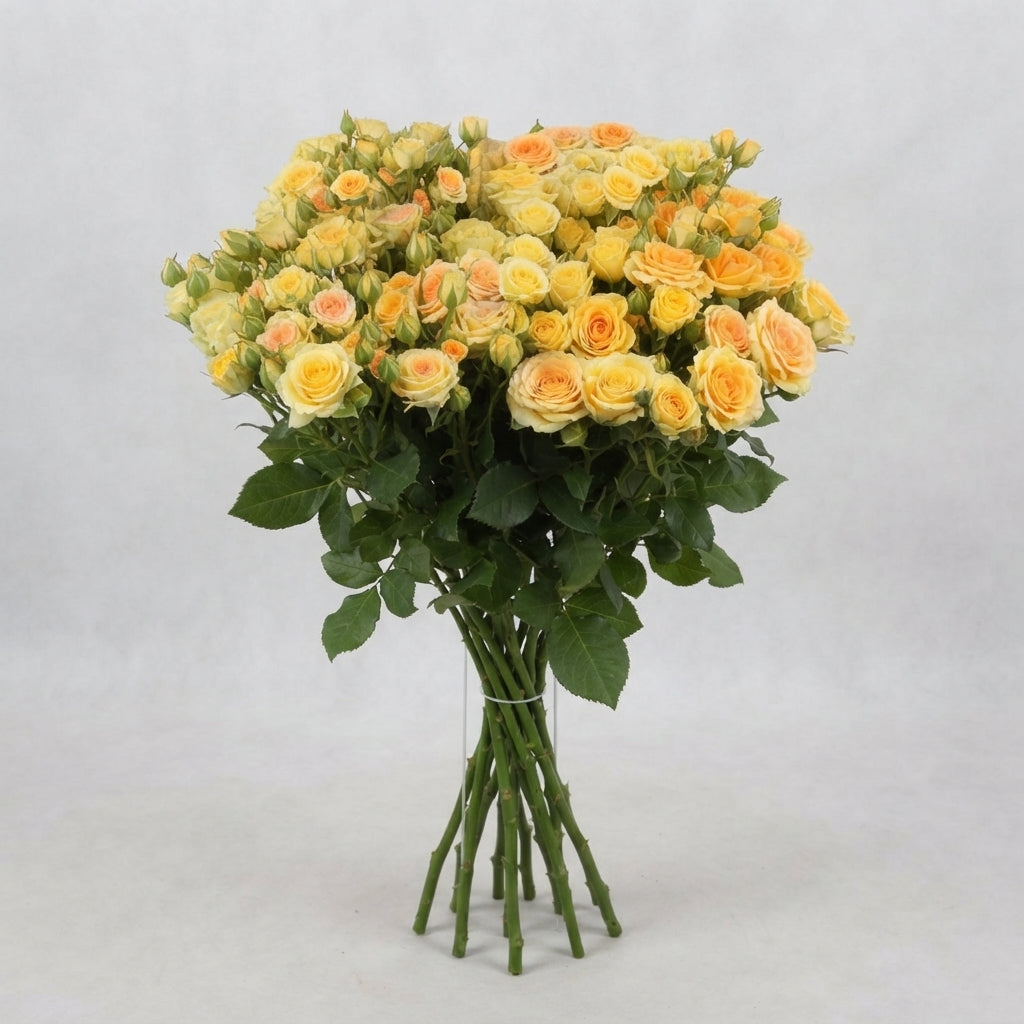 FeedSync:wholesale:c552ce72224700b71be07754b09647d78a5c2e8d