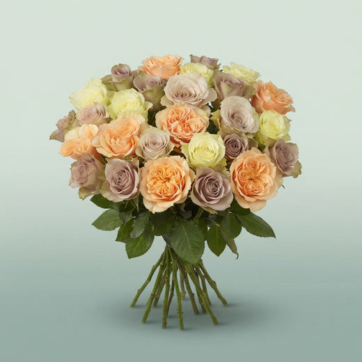 FeedSync:wholesale:042f9f1624e541956aef5b4ce329d792e69c3bfa