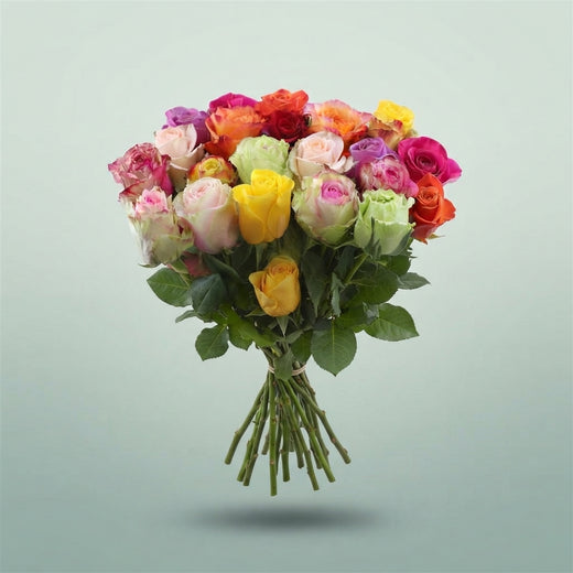 FeedSync:wholesale:b8e76e4a32d49172c81136e67146d24df5cb9c42