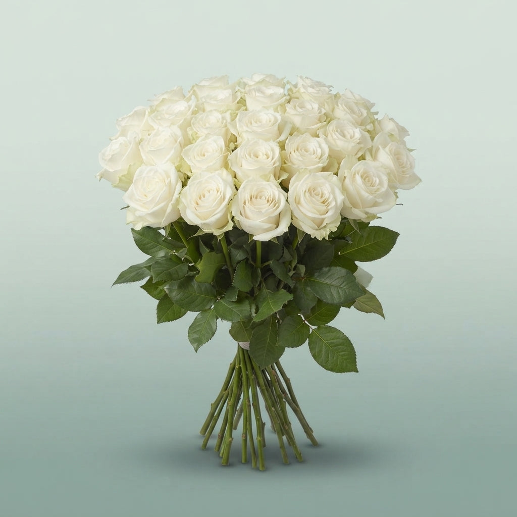 FeedSync:wholesale:5f83fff5a9b051fa8803a6c968bee310cb083065