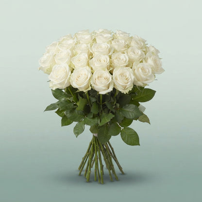 FeedSync:wholesale:5f83fff5a9b051fa8803a6c968bee310cb083065