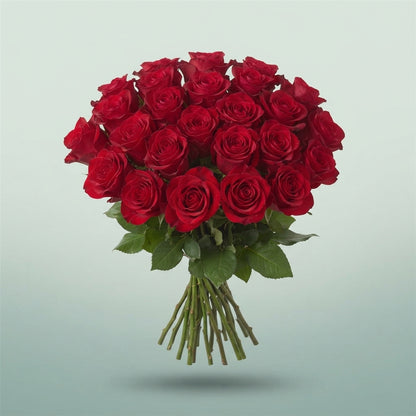 FeedSync:wholesale:772aa0869c7cf0edb6cb0c2af241961ec9319f40