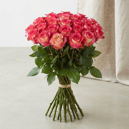 FeedSync:wholesale:798152e00fd759912c228356bc647ccf9bb6b9ef
