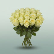 FeedSync:wholesale:75f409cd020fbf27dbed3481586e35c95d878d7c