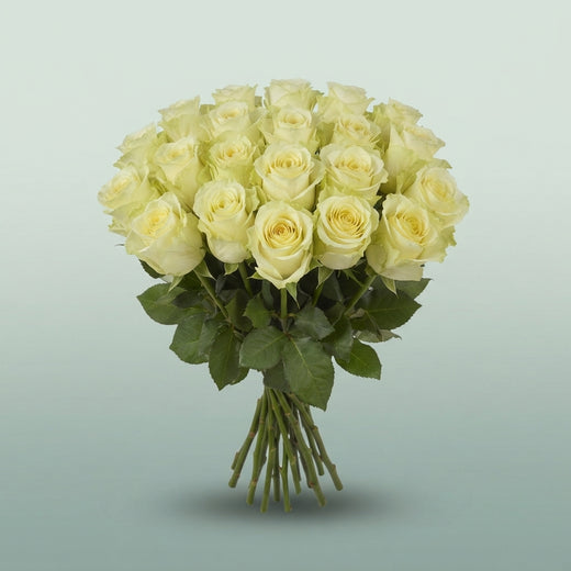 FeedSync:wholesale:75f409cd020fbf27dbed3481586e35c95d878d7c