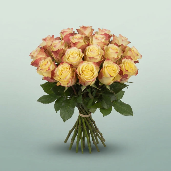FeedSync:wholesale:190415232bab8a57eb8e90fd45eb10463e23b9c2