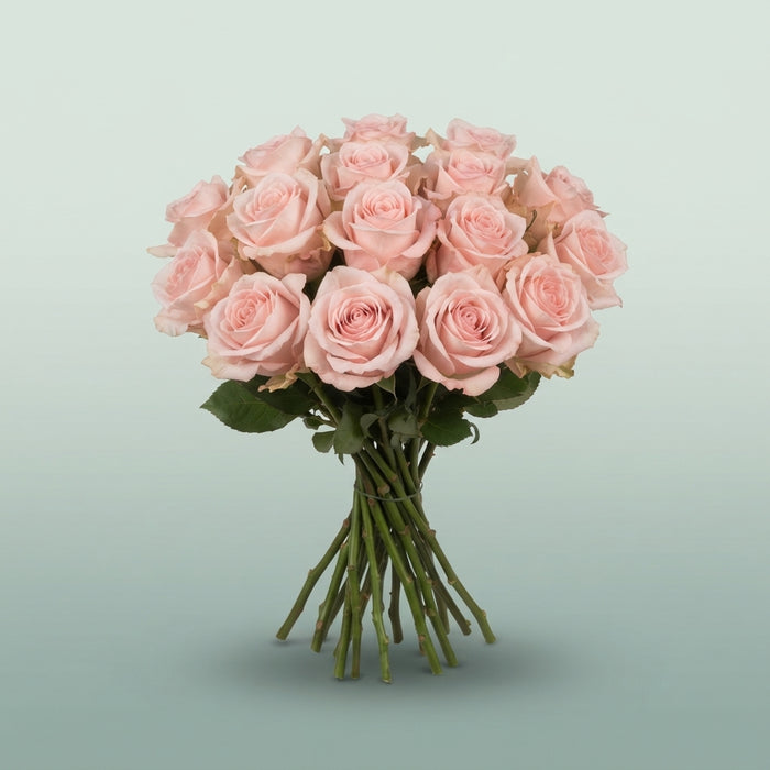 FeedSync:wholesale:7148911463eab670f3f5c62dd764f3dbc6337afb