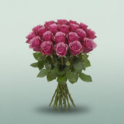 FeedSync:wholesale:1c8412944da1030e28398474306411ec4e52075d
