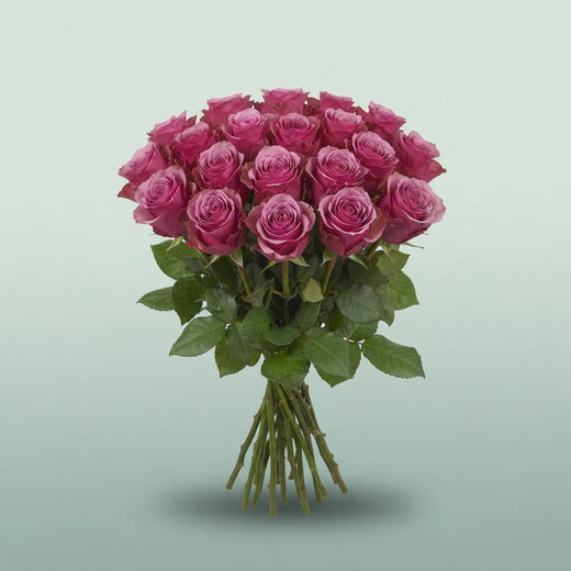 FeedSync:wholesale:1c8412944da1030e28398474306411ec4e52075d