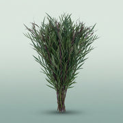 FeedSync:wholesale:361ea3421c64de89d6cd642e4a770ba0fb39cc48