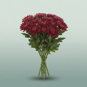 FeedSync:wholesale:2477e3b3be572ed315987b6cfb28ee8192c8690d