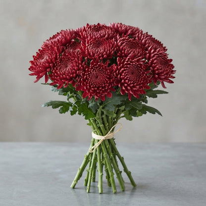 FeedSync:wholesale:9c2bb24076ab7415e63480816160b8538259734d