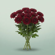 FeedSync:wholesale:59d294105cee40246cdc465958d8972156876f3b