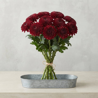 FeedSync:wholesale:ed6762b93f1de42d0a915b0c5d4c07277c721093