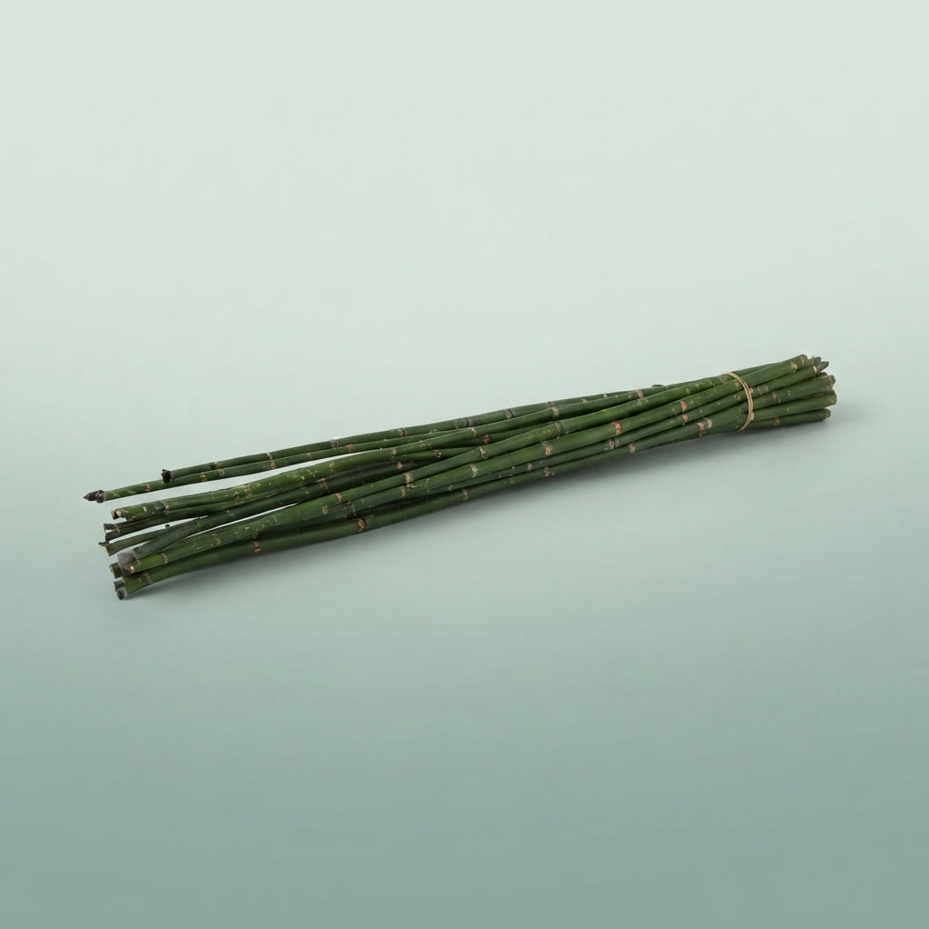 FeedSync:wholesale:ba0dae4aa3081a2221a77dcc637827b9af4d6d81