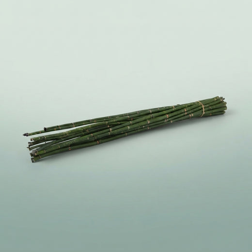 FeedSync:wholesale:ba0dae4aa3081a2221a77dcc637827b9af4d6d81