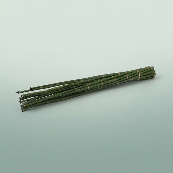 FeedSync:wholesale:ba0dae4aa3081a2221a77dcc637827b9af4d6d81