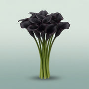 FeedSync:wholesale:e14ea2d9ed611442236fa3f9704716e31621d133