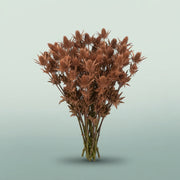 FeedSync:wholesale:0d33535cf6a592209bce68e78e46a5b4592e1032