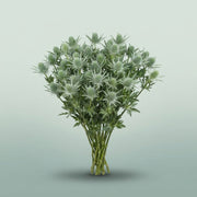 FeedSync:wholesale:eedaf9f55b3b89bfee98043c08bbd8711db6419d