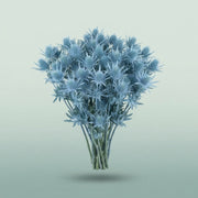 FeedSync:wholesale:0f34a9a34d15170a675e12b6ceec2bcdfcf544ae