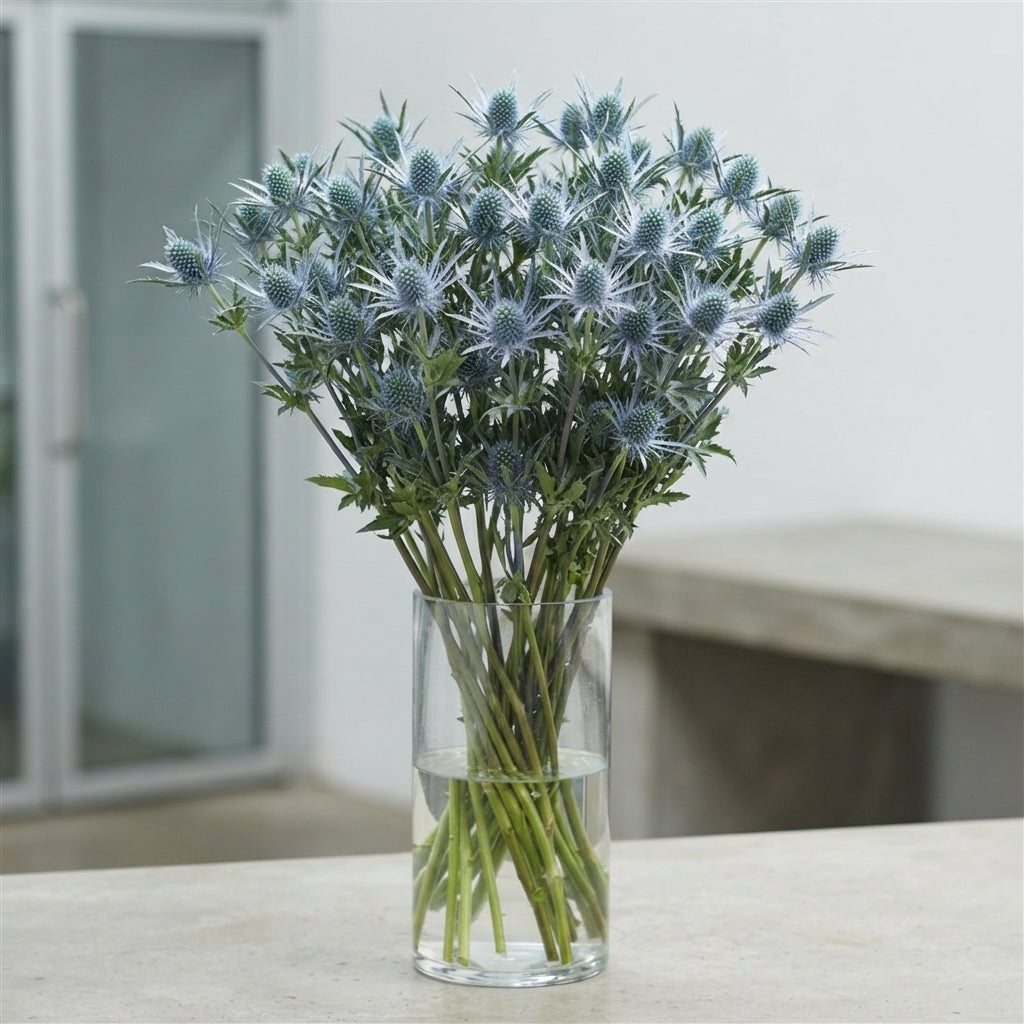 FeedSync:wholesale:d3fa16a909ecb16057caad6704776b67c0ec831c