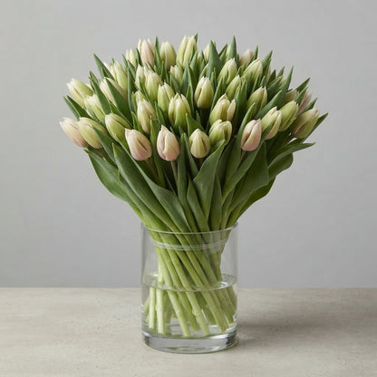 FeedSync:wholesale:297f3be5d9ecfd9bb12a062020c65a20cde19279