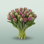 FeedSync:wholesale:bdfbe8e0f4cda915b83e2fb3a44a238427590b35