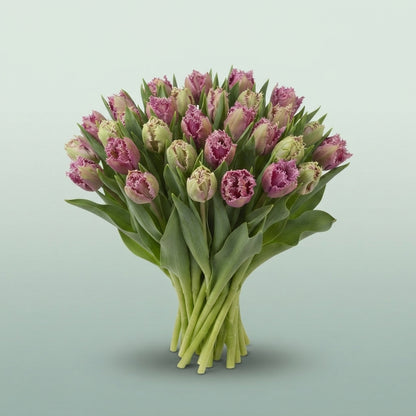 FeedSync:wholesale:bdfbe8e0f4cda915b83e2fb3a44a238427590b35
