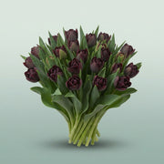 FeedSync:wholesale:d6aa521c6eb20eeee0caa63fdebad323214d90db
