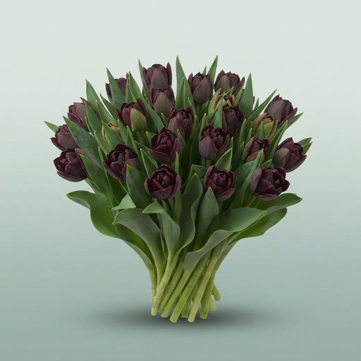 FeedSync:wholesale:d6aa521c6eb20eeee0caa63fdebad323214d90db
