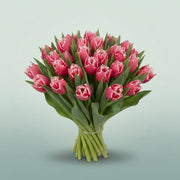 FeedSync:wholesale:1189c677dd4818c1057b09314c23375fa97ca5ac