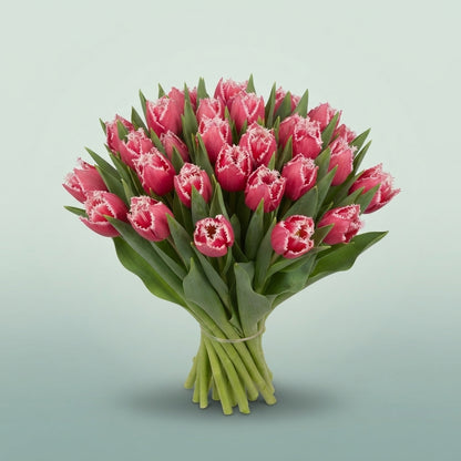 FeedSync:wholesale:1189c677dd4818c1057b09314c23375fa97ca5ac