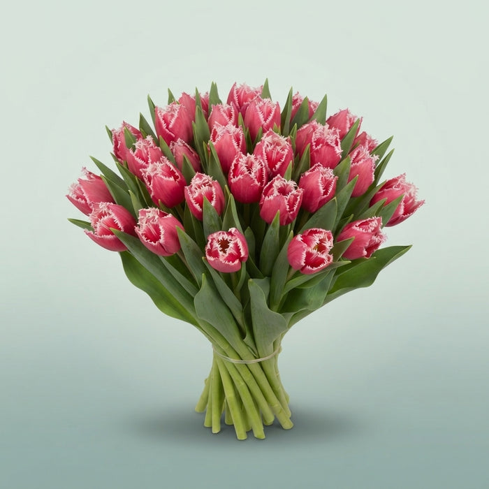 FeedSync:wholesale:1189c677dd4818c1057b09314c23375fa97ca5ac